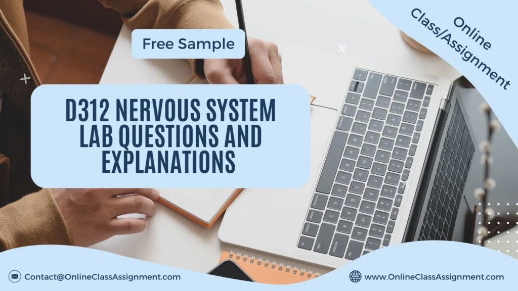 D312 Nervous System Lab Questions and Explanations