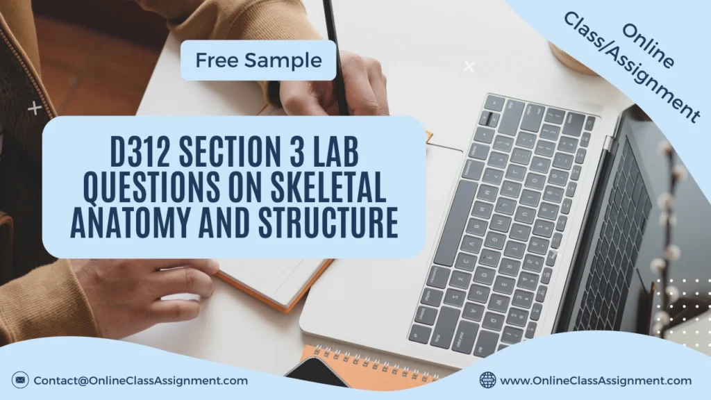 D312 Section 3 Lab Questions on Skeletal Anatomy and Structure