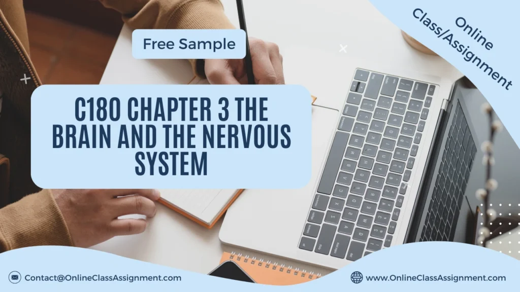 C180 Chapter 3 The Brain and the Nervous System